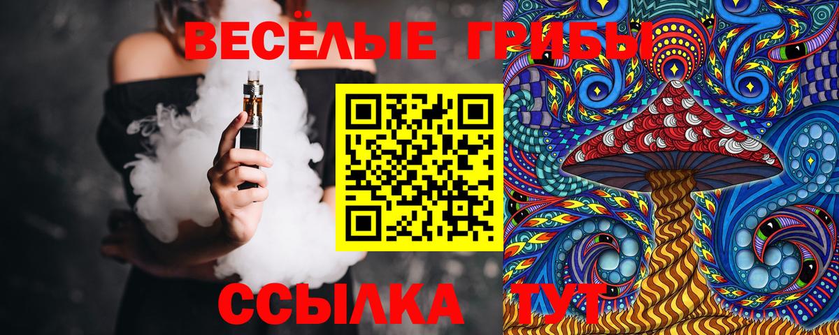 Галлюциногенные грибы GOLDEN TEACHER  Вход с VPN  Курчатов  Галлюциногенные грибы мухоморы 