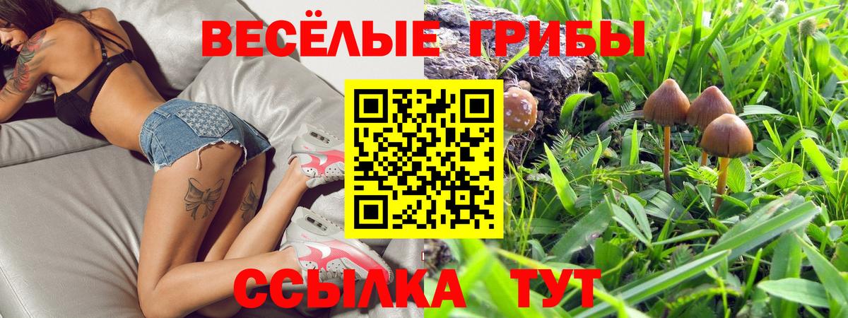 Псилоцибиновые грибы ЛСД Курчатов